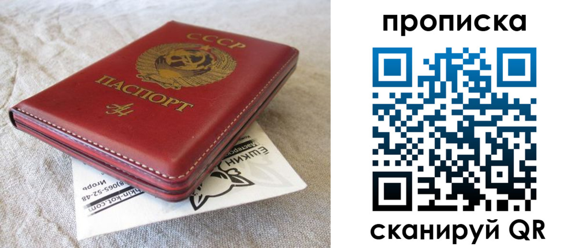 прописка для школы в Благовещенске
